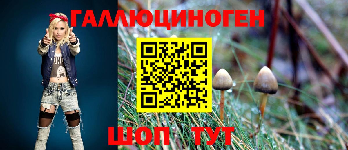 Галлюциногенные грибы Cubensis Темрюк